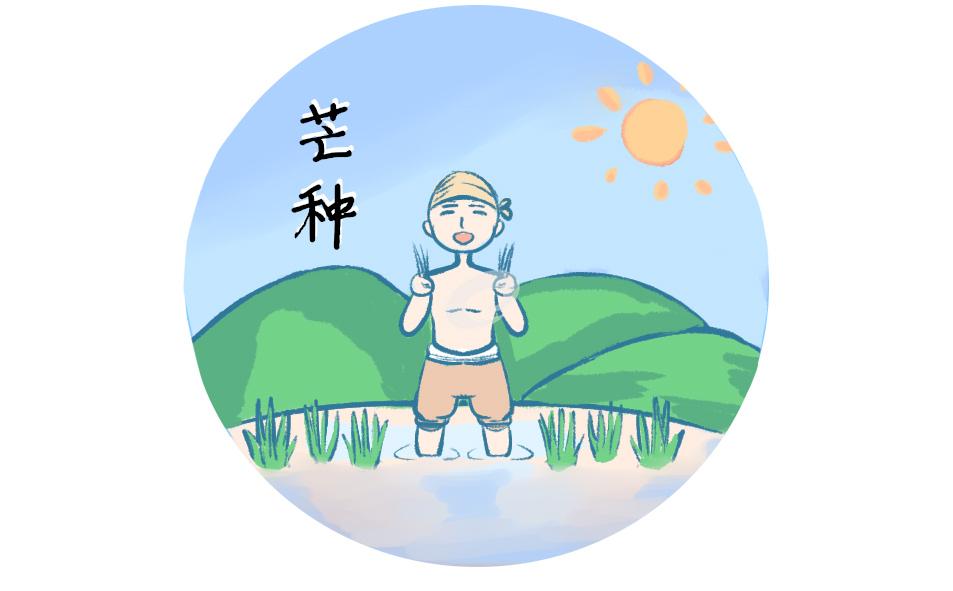 二十四節(jié)氣之芒種寓意和習俗