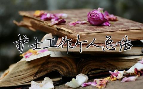 護士工作個人總結 30篇