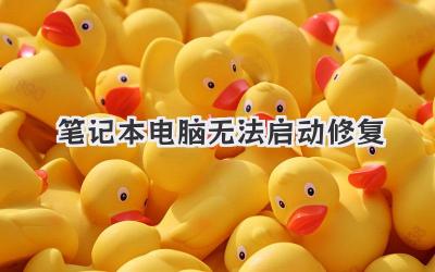 筆記本電腦無法啟動修復(fù)
