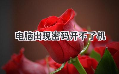 電腦出現(xiàn)密碼開不了機